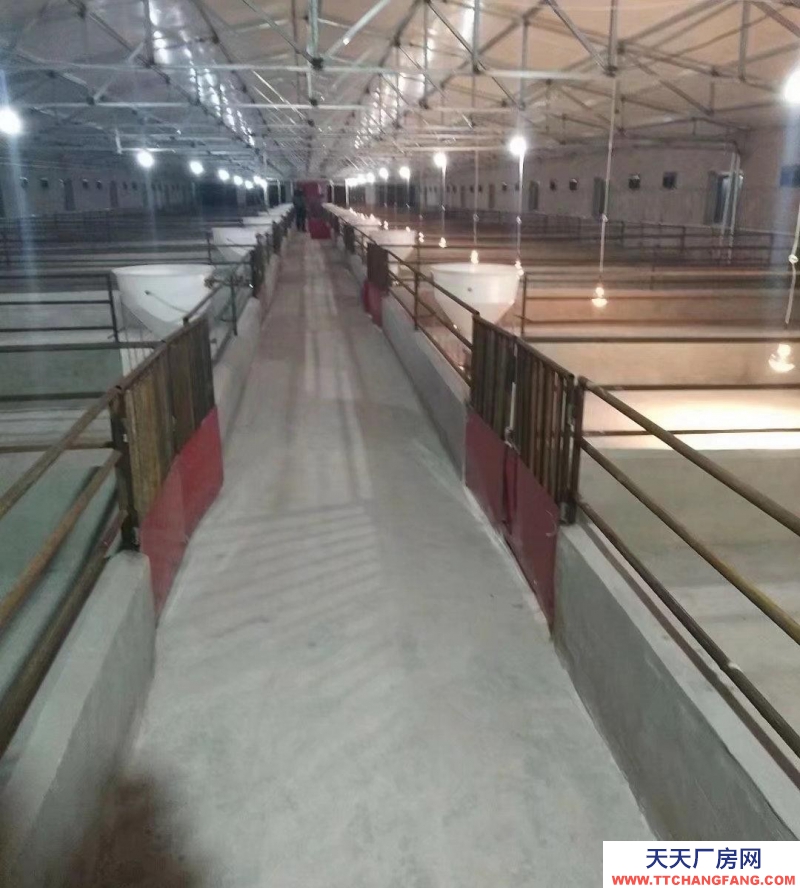 (出售) 出售年出欄2000頭豬場(chǎng)，售價(jià)21萬