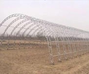 (出租) 出租敦化勝利一心村 2000平米大院 !!!