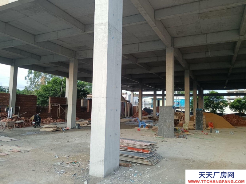 (出租) 湛江麻章1500平方框架結構。可做廠房可做倉庫和辦公 整房出租