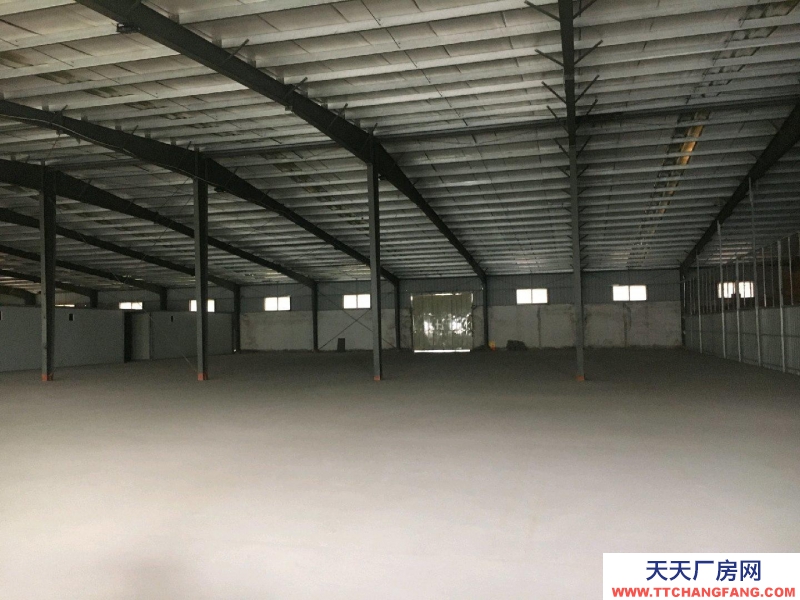 (出租) 麻章疏港大道2萬方高臺倉庫出租