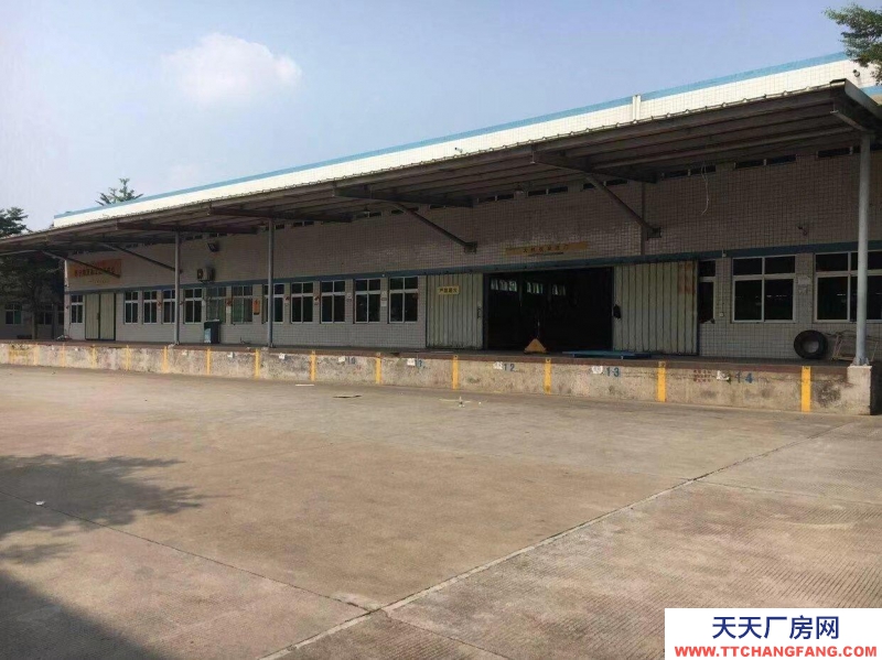 (出租) 麻章赤坎霞山2萬方高臺倉庫出租