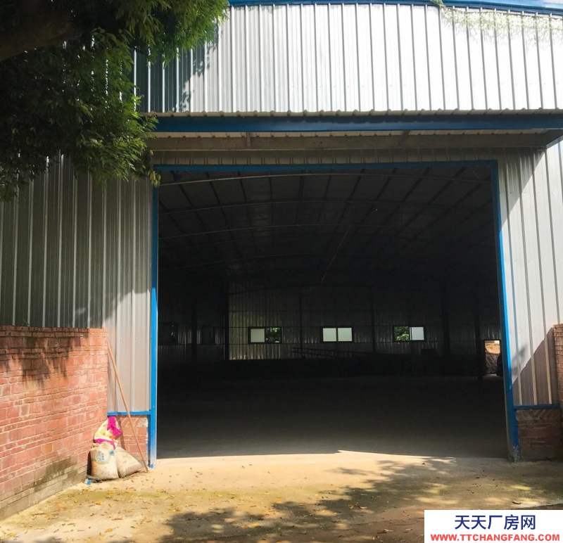 (出租) 湛江遂溪全新獨立倉庫，廠房