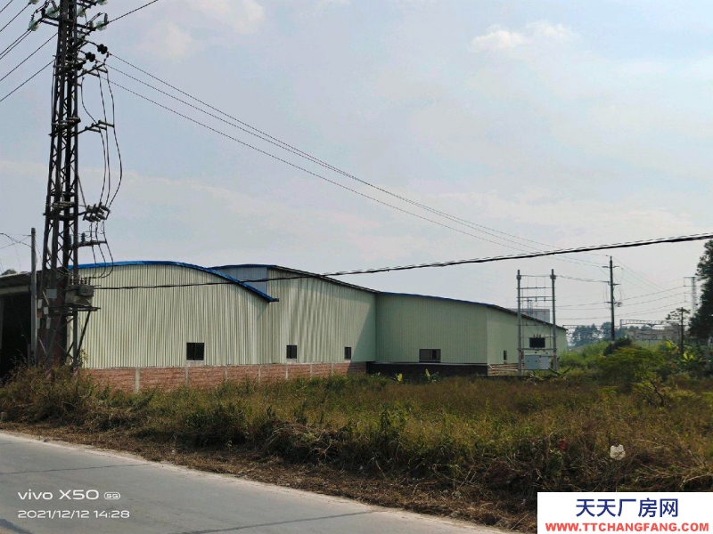 (出租) 湛江遂溪688縣道旁黃略鎮(zhèn)海螺水泥廠旁邊大型倉庫