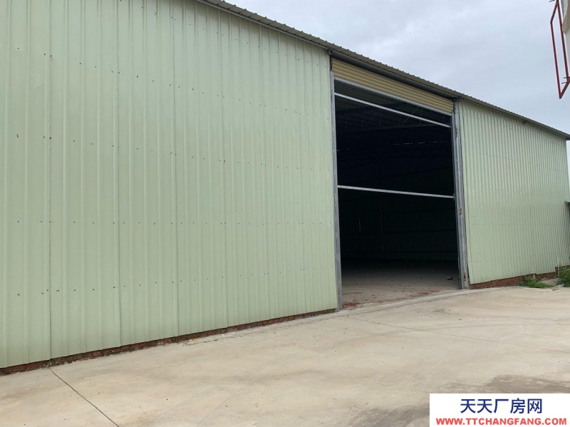 (出租) 湛江遂溪全新廠房，價格實惠！