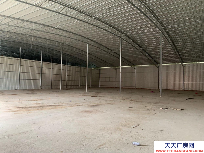 (出租) 湛江遂溪全新廠房,價格實惠!