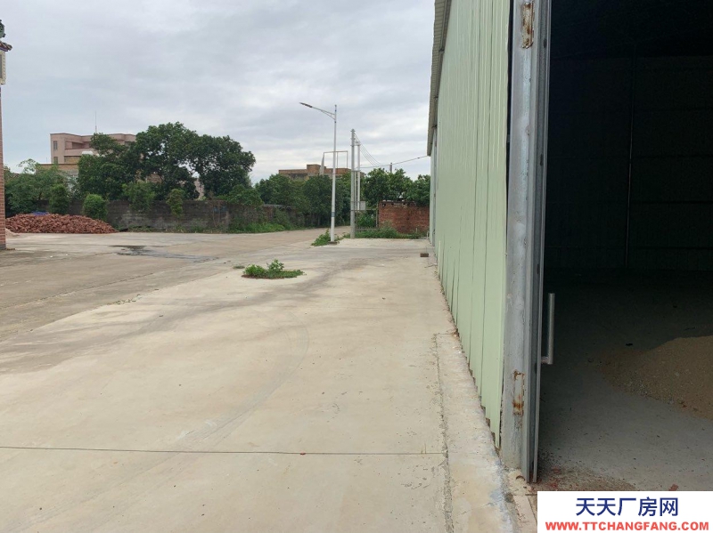 (出租) 湛江遂溪全新廠房,價格實惠!