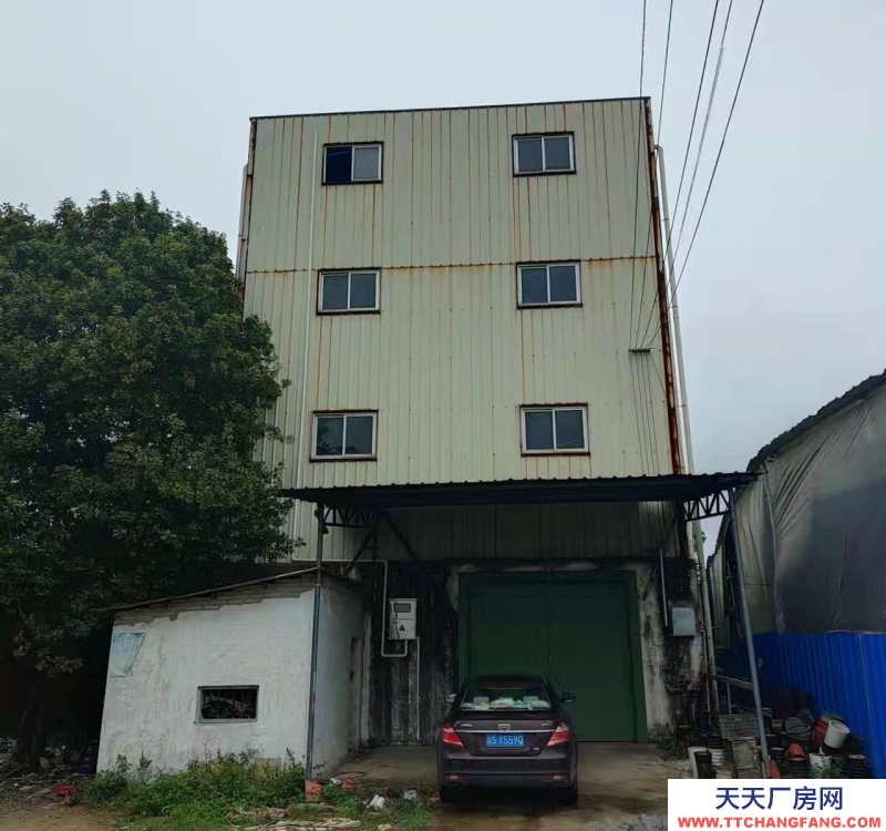 (出租) 出租遂溪城區(qū)倉庫1532平方有貨梯