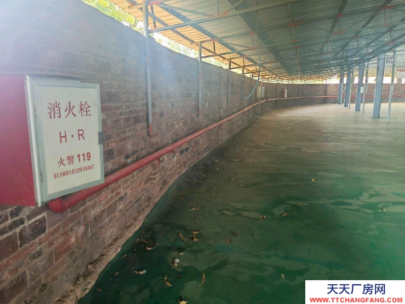 (出租) 湛江徐聞高標準倉庫設備齊全，道路便捷！