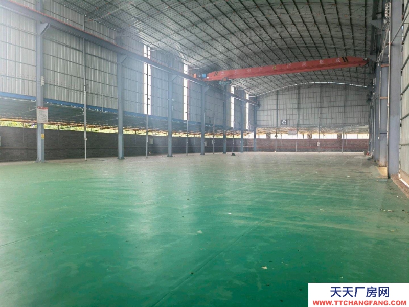 (出租) 湛江徐聞高標(biāo)準(zhǔn)倉(cāng)庫(kù)設(shè)備齊全,道路便捷!