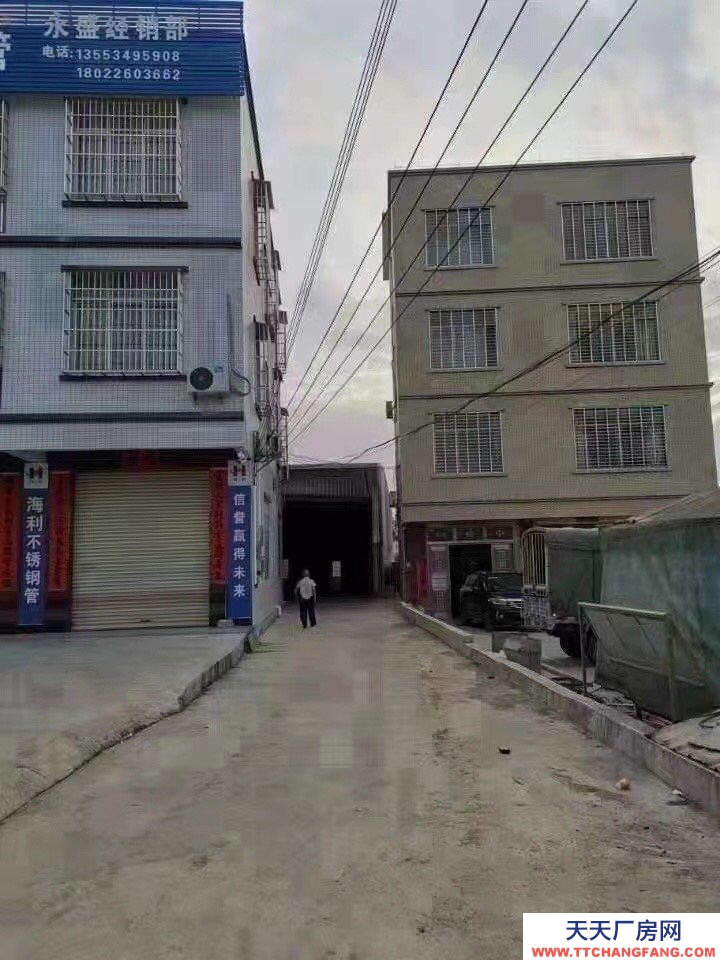 (出租) 湛江廉江路大近公路 大車出入方便