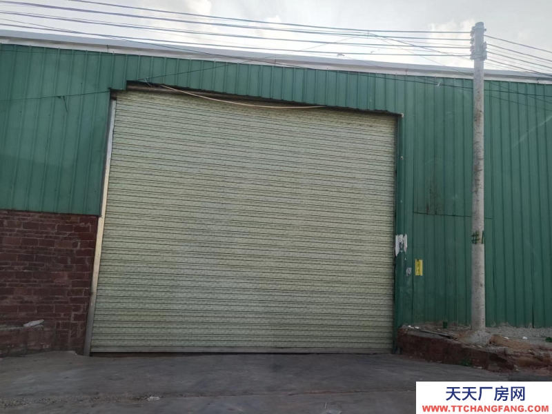 (出租) 湛江雷州大路方便出入，地方廣闊