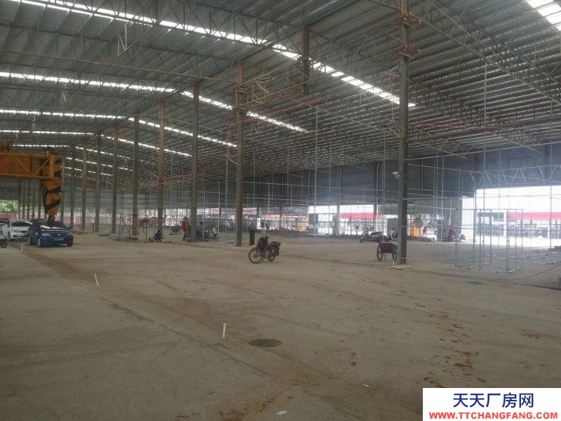 (出租) 湛江雷州倉庫廠房空地出租