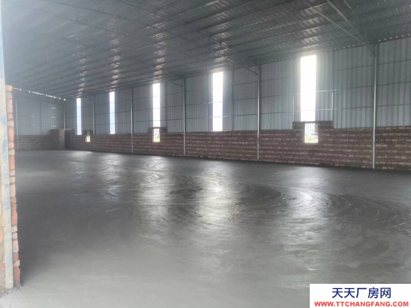 (出租) 湛江雷州賓合村倉庫廠房出租。