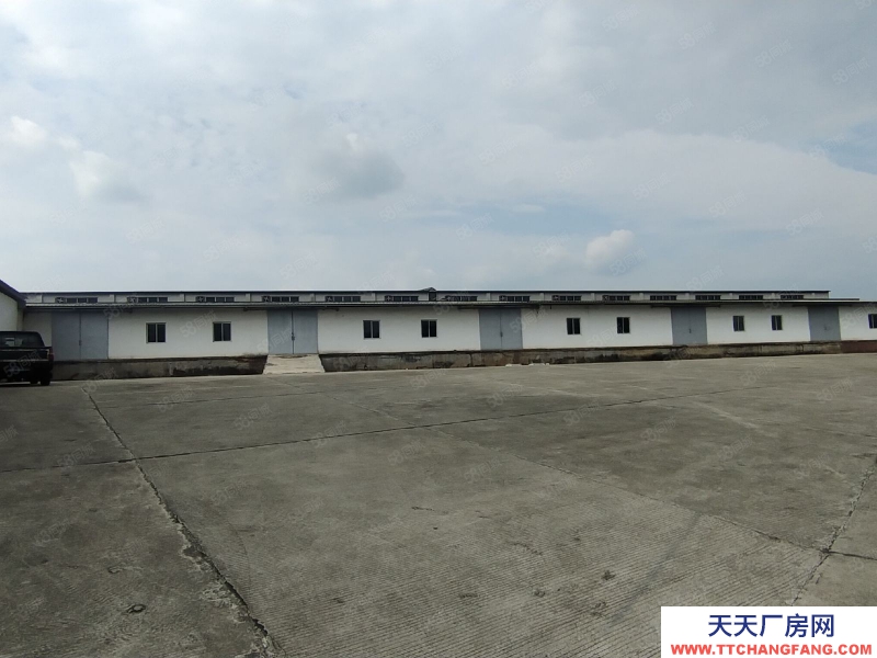 (出租) 茂名油城路獨(dú)院廠房出租 3000方也可做倉(cāng)庫(kù) 層高6米 拖頭可入