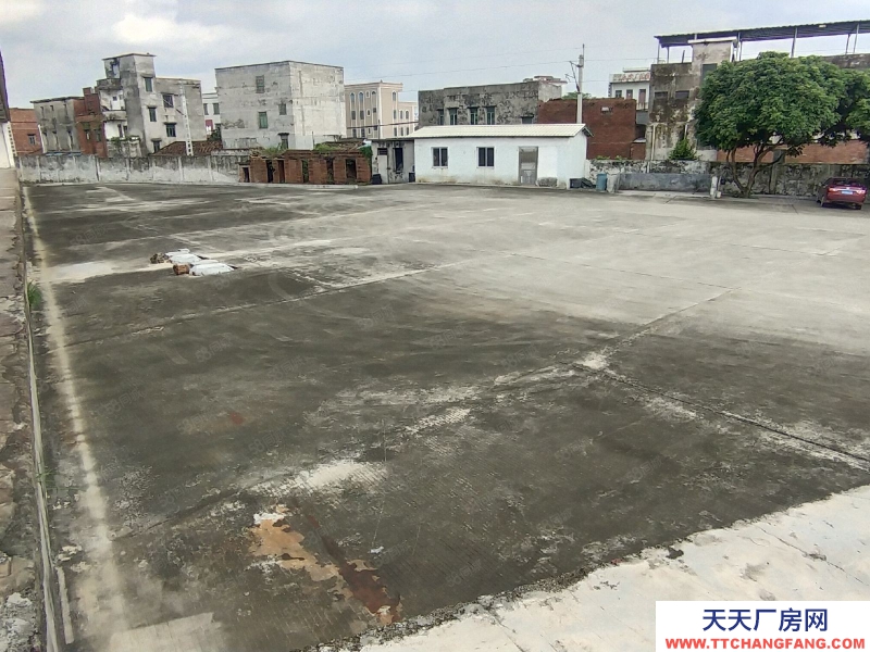 (出租) 茂名油城路獨院廠房出租 3000方也可做倉庫 層高6米 拖頭可入