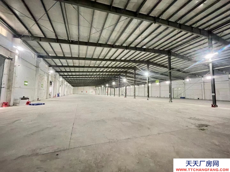 (出租) 茂名廠房 倉庫 可分租 有大院 手續齊全 大車方便出入