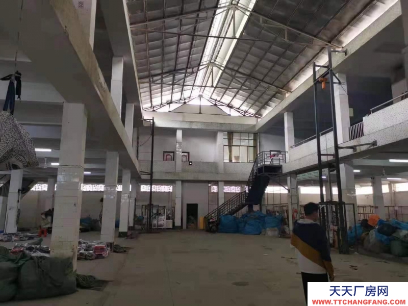 (出租) 茂名茂南紅旗北路廠房倉庫車間