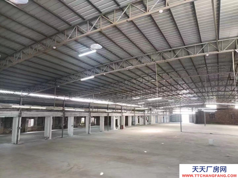 (出租) 茂名新租！2500平方獨(dú)門獨(dú)院廠房倉庫