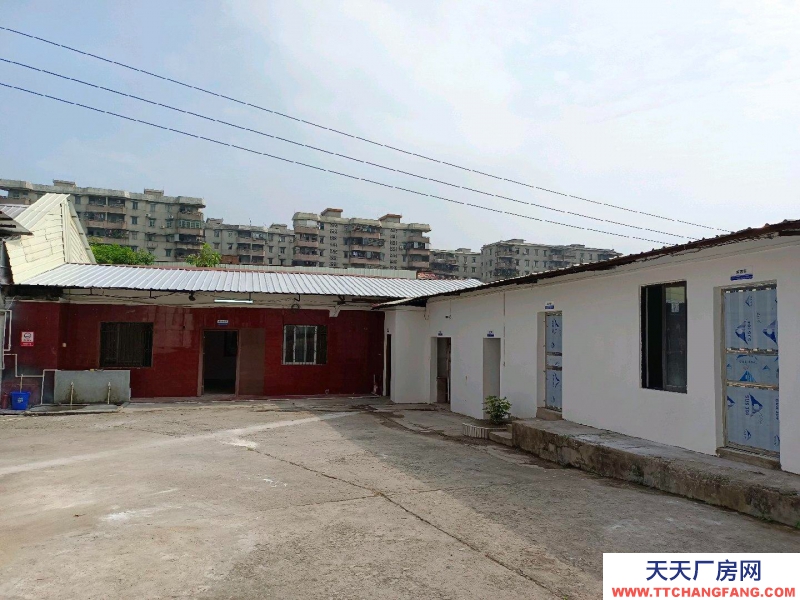 (出租) 茂名市區(qū)約2500方廠房倉庫出租