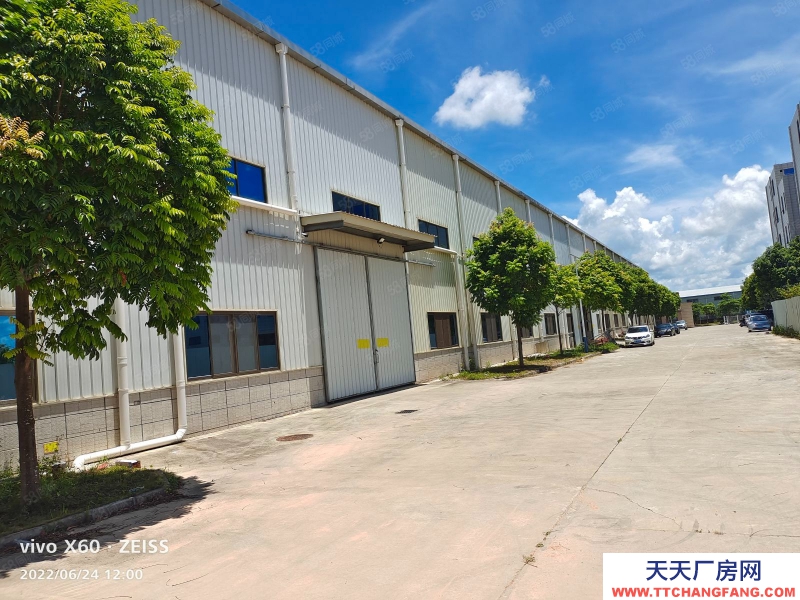 (出租) 茂名電白區反哺工業園8000平方輕鋼廠房倉庫出租，每平方14元