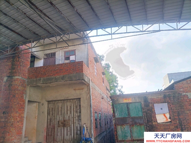 (出租) 茂名超低價(jià)獨(dú)立廠房,倉庫招租!