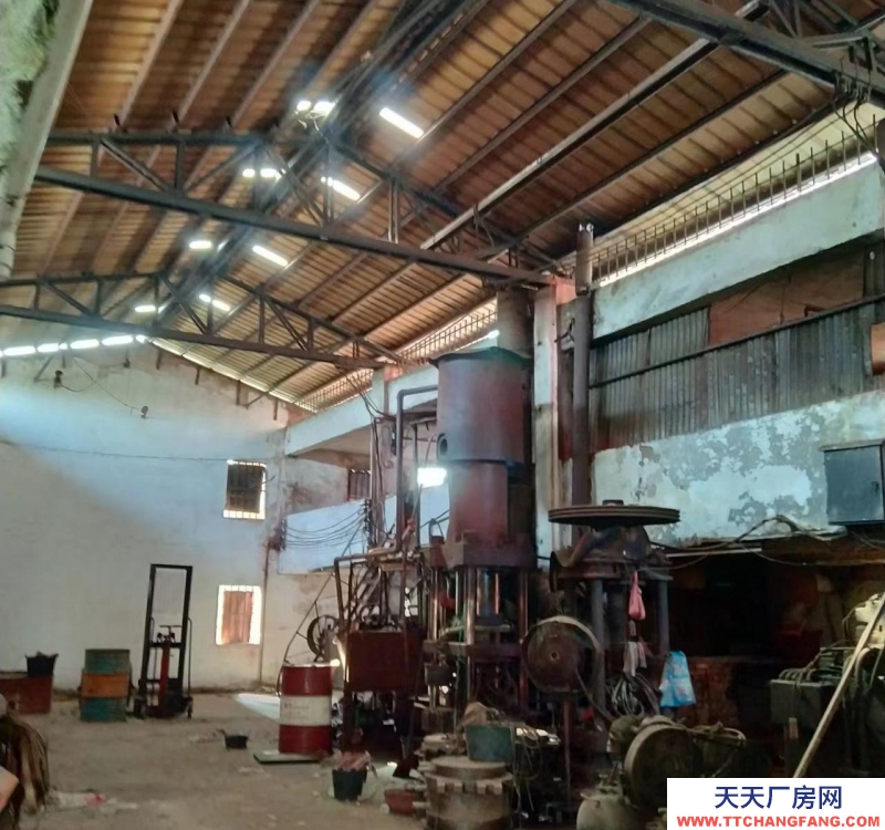 (出租) 茂名超低價獨立廠房，倉庫招租！