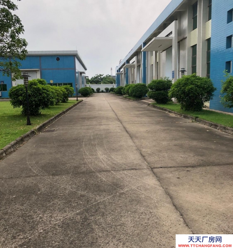 (出租) 茂名電白廠房 、倉庫、寫字樓出租、出售