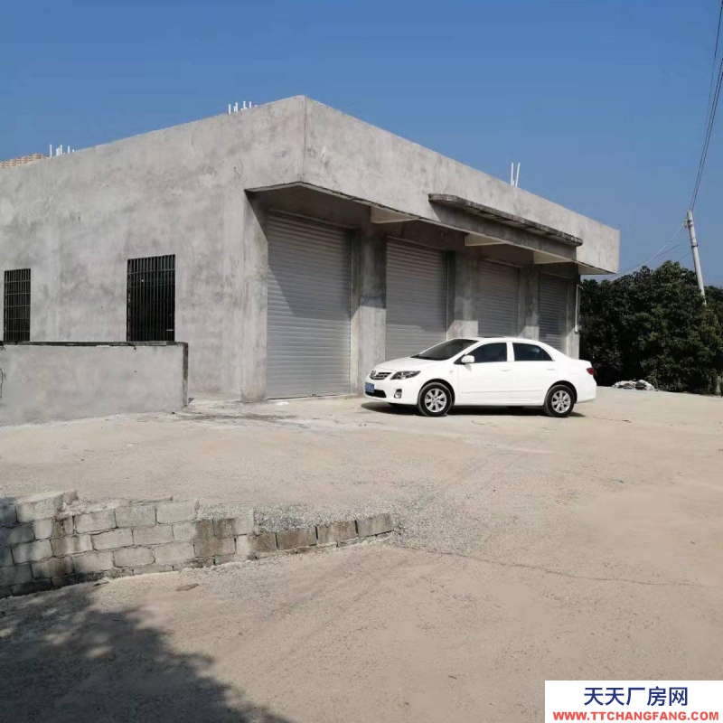 (出租) 茂名出租電白林頭出口倉庫