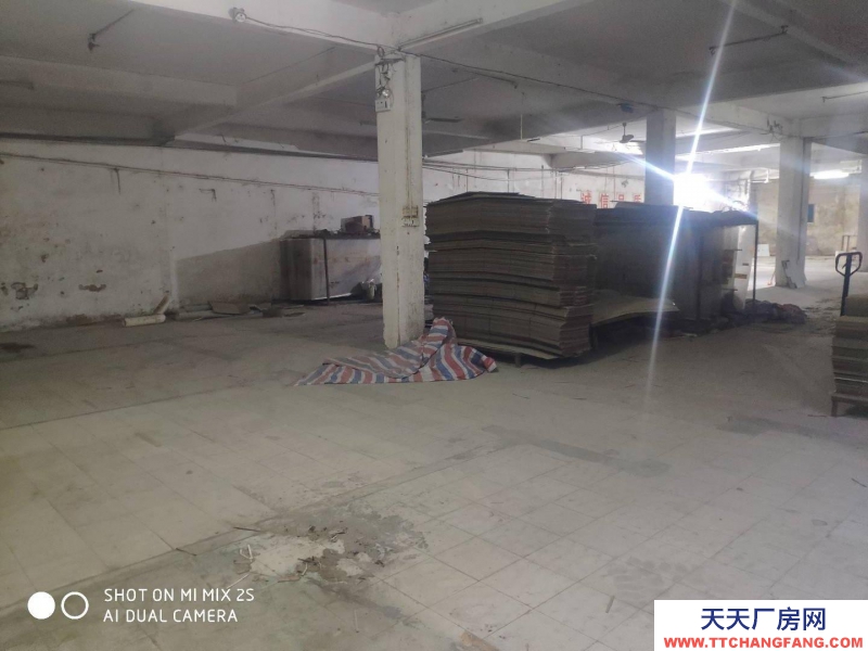 (出租) 茂名高州廠房招租倉庫出租個人閑置