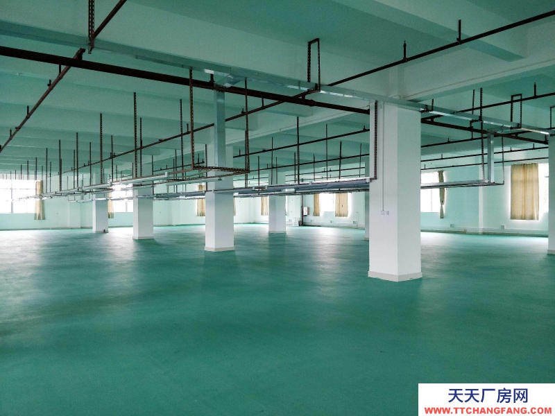 (出租) 茂名化州出租大型標準廠房倉庫，交通便利，臨近淺水高速路口和吳川高鐵站