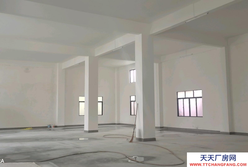 (出租) 茂名南粵現代城附近，交通方便，有三相電，可作廠房，倉庫