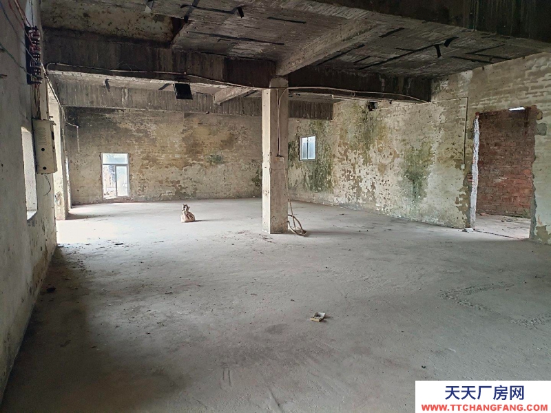 (出租) 茂名250平方冰庫出租（可凍零下十幾度），150平方常溫倉庫