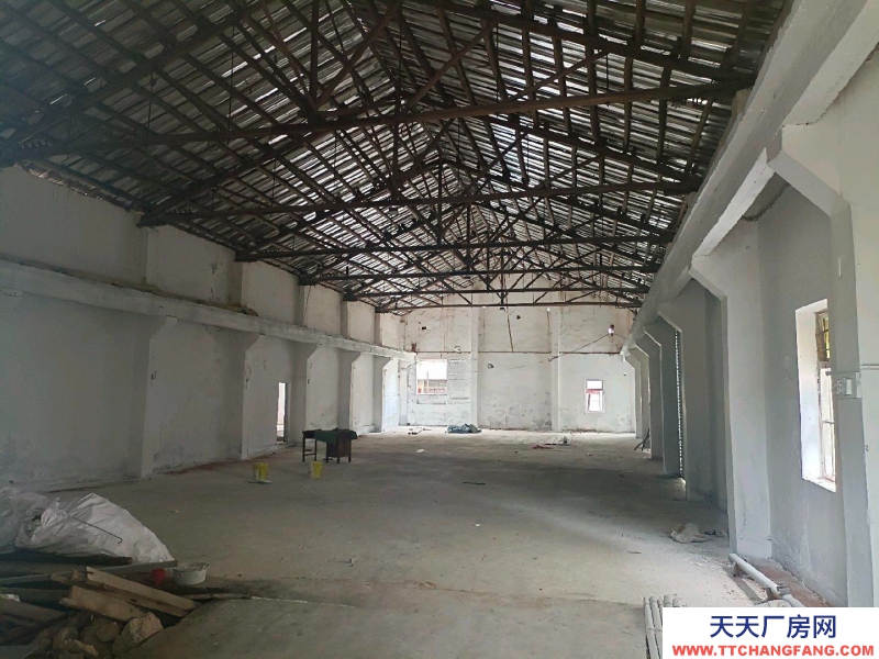 (出租) 茂名250平方冰庫出租（可凍零下十幾度），150平方常溫倉庫