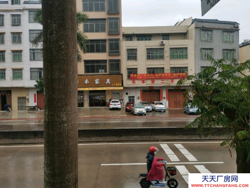 (出租) 信宜北高速口、207國道旁廠房、辦公、倉庫、宿舍