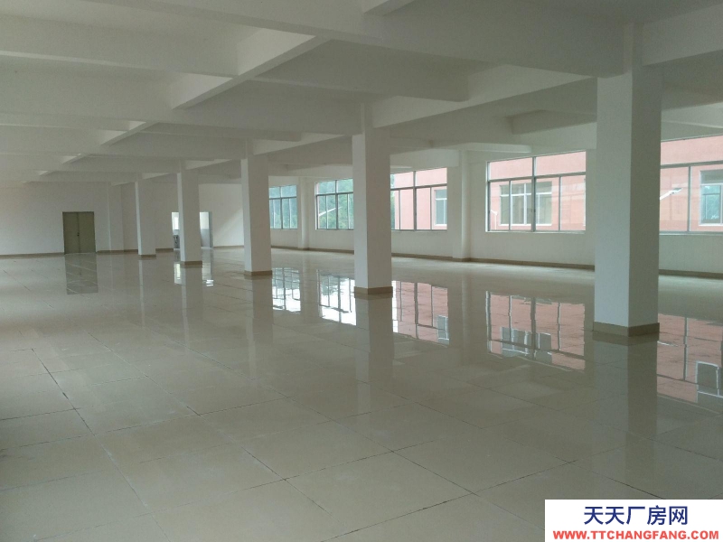 (出租) 電梯整層出租