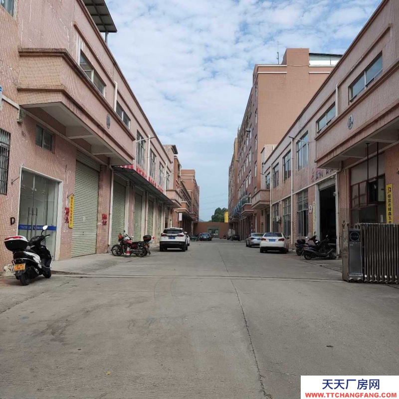 (出租) 電梯整層出租