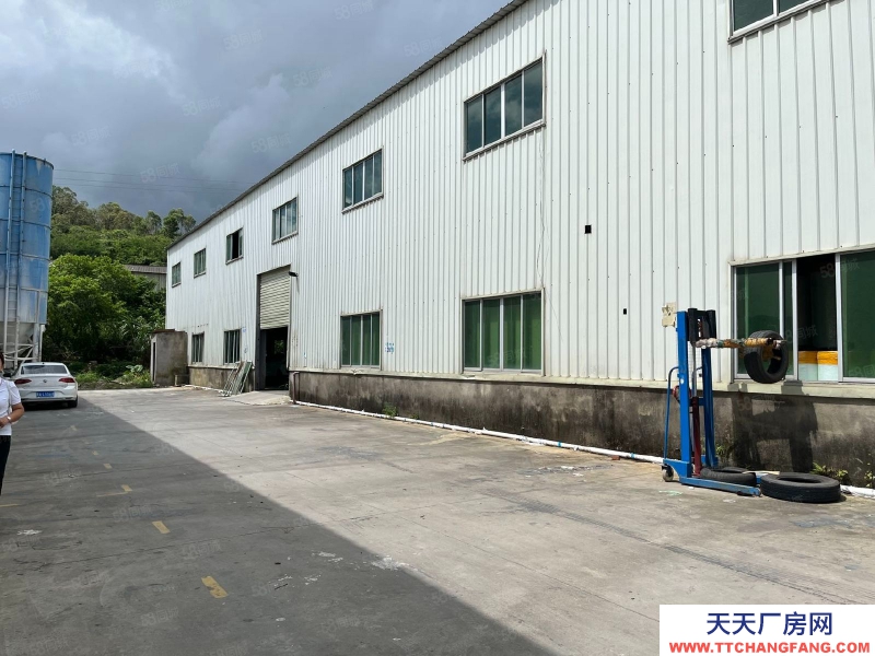 (出租) 惠城區小金口1800平鋼構出租，層高7.5米，中間無柱子