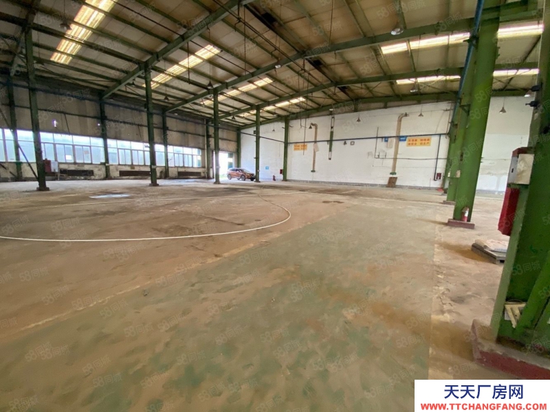 (出租) 馬安鎮工業區滴水10米鋼構廠房面積2900平（可分租）證件齊