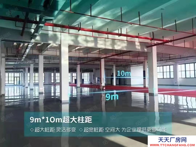 (出租) 惠陽淡水智能制造產(chǎn)業(yè)園招租100萬平米高端行業(yè)低門檻進入