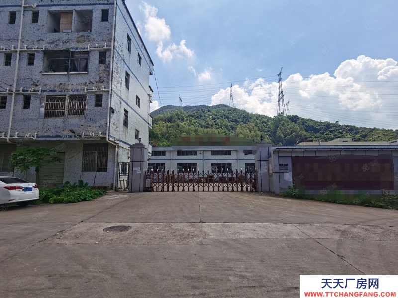 (出租) 惠陽三和原房東獨門獨院鋼結構滴水八米高11000平方低價出租