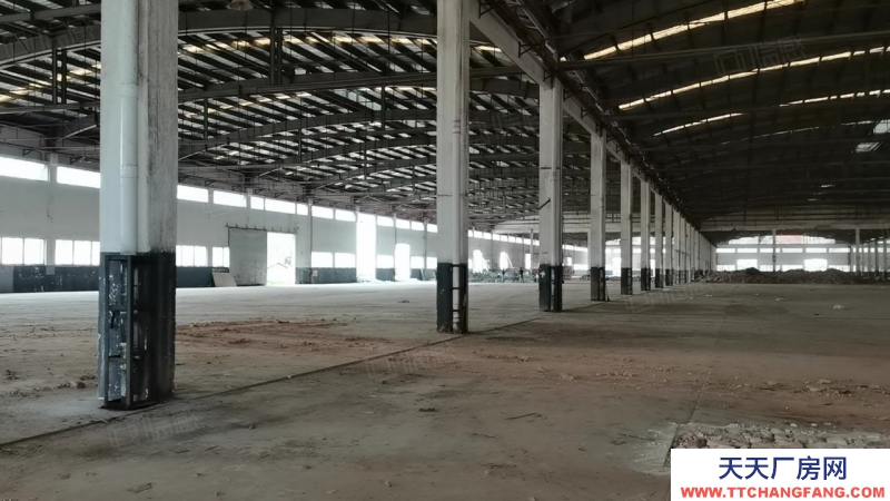 (出租) 大面積鋼構出租！惠陽淡水星華工業園2萬平原房東倉庫廠房可分租