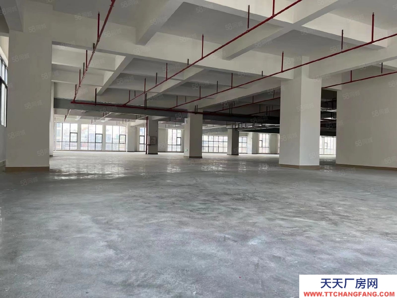 (出租) 20000m標準廠房招租（惠陽沙田）