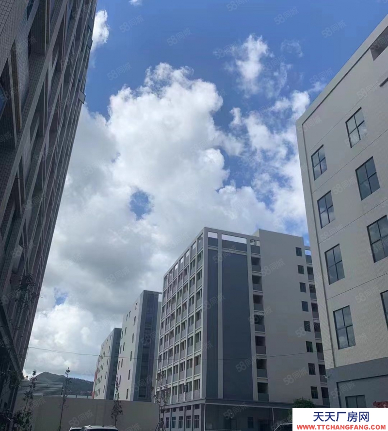 (出租) 20000m標準廠房招租（惠陽沙田）