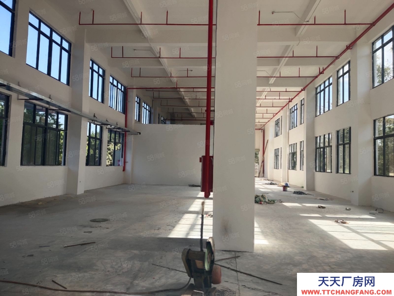 (出租) 紅本廠房 全新獨院 惠陽秋長獨院廠房5層5125平米大小可分