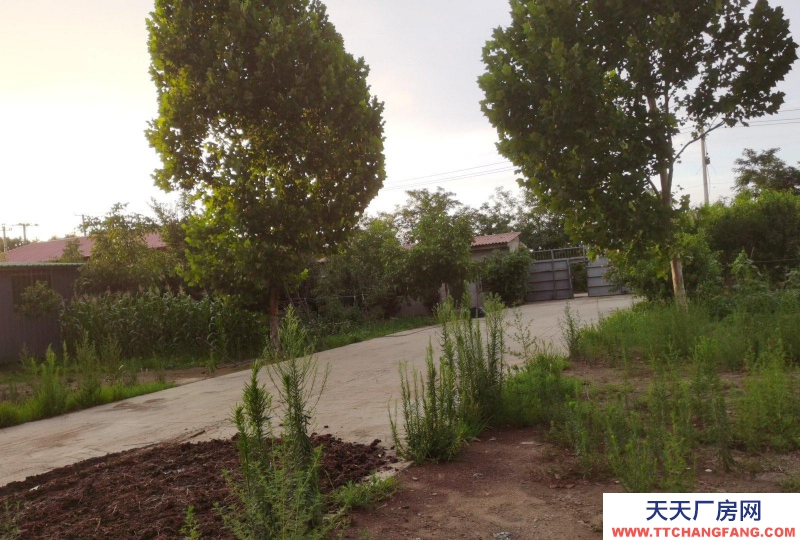 邢臺 隆堯 (出租) 總4畝地。原來做環保設備