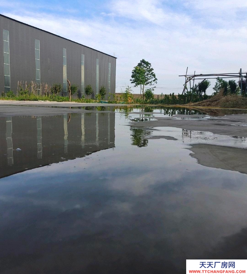 邢臺 隆堯 (出租) 自建廠房庫房，交通便利