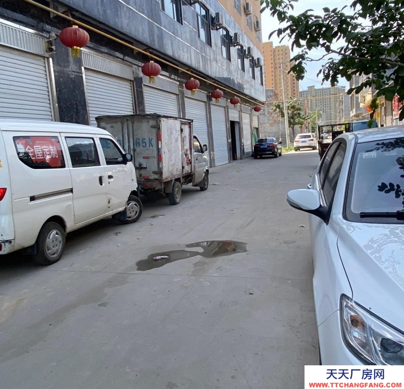 邢臺 隆堯 (出租) 停車方便交通方便可以放貨