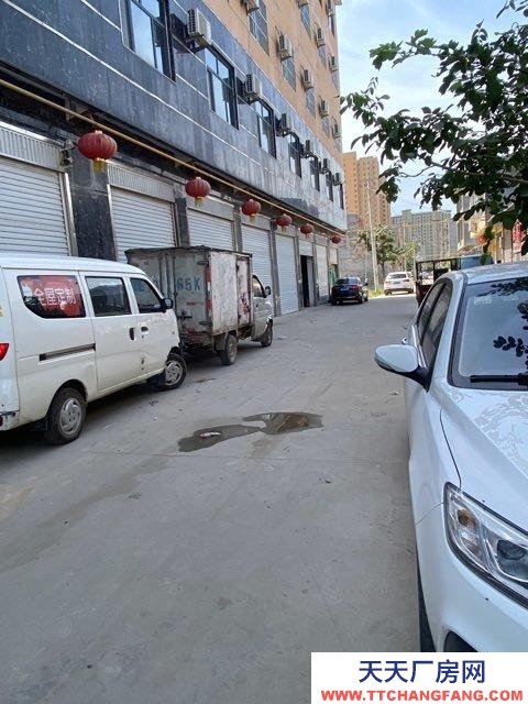 邢臺 隆堯 (出租) 停車方便交通便利四通發達