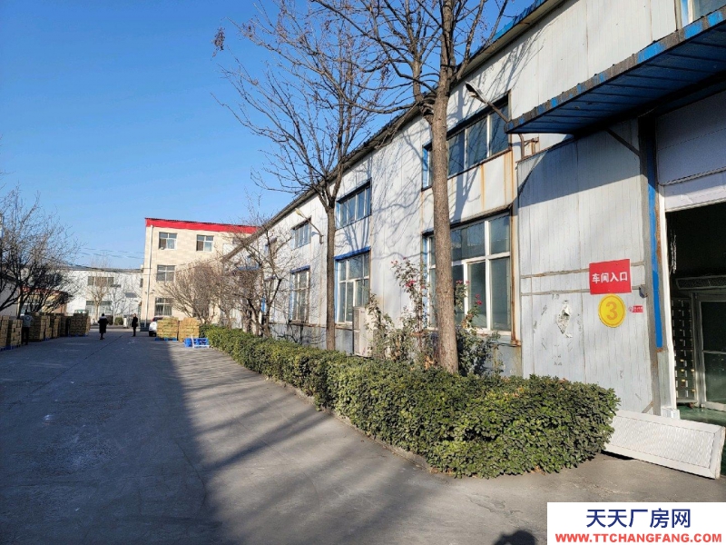 邢臺 任縣  (出租) 廠房，隨時看房，隨時聯系我