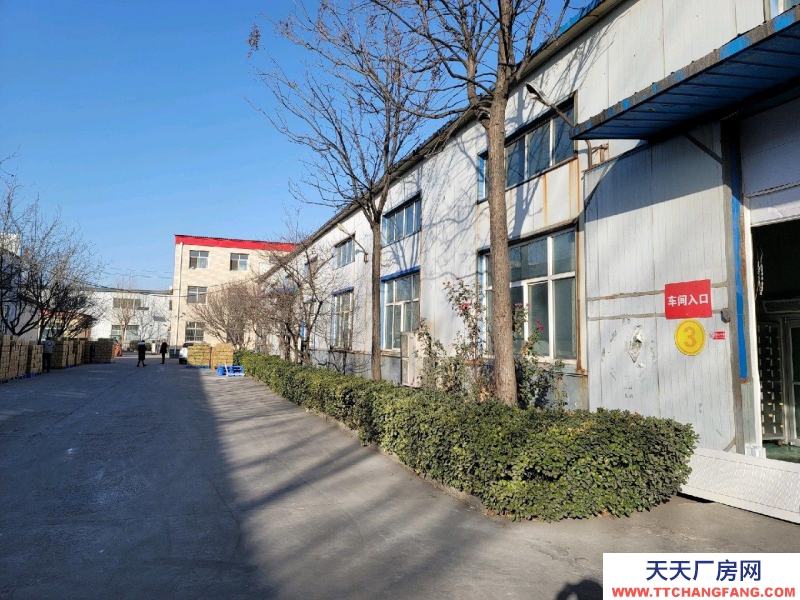 邢臺 任縣  (出租) 廠房，隨時看房，隨時聯系我